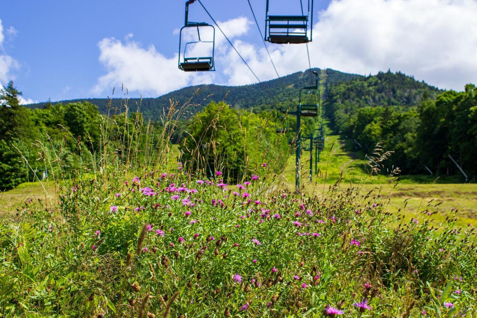 Smugglers' Notch Resort Private Suites Cambridge ภายนอก รูปภาพ